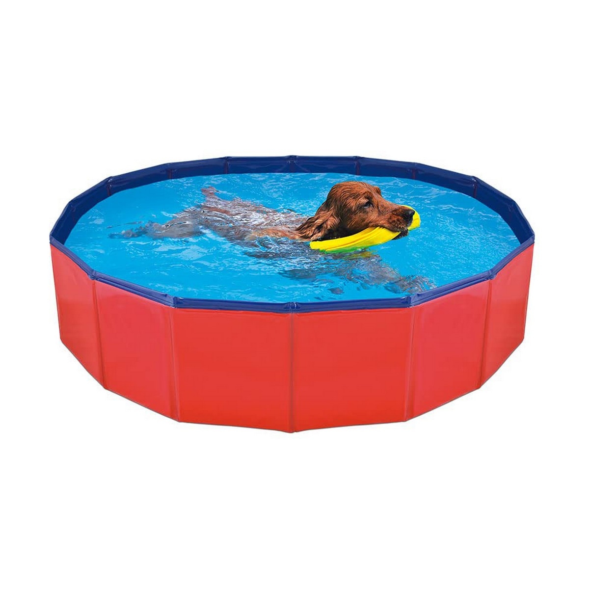 Piscina Desmontable Nayeco Perro