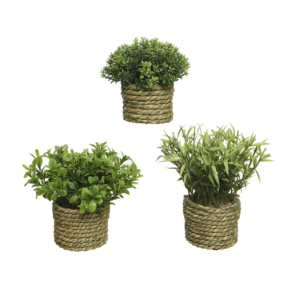 Planta Decorativa Basic Home Artificial Cuerda Verde 16 X 3 Cm