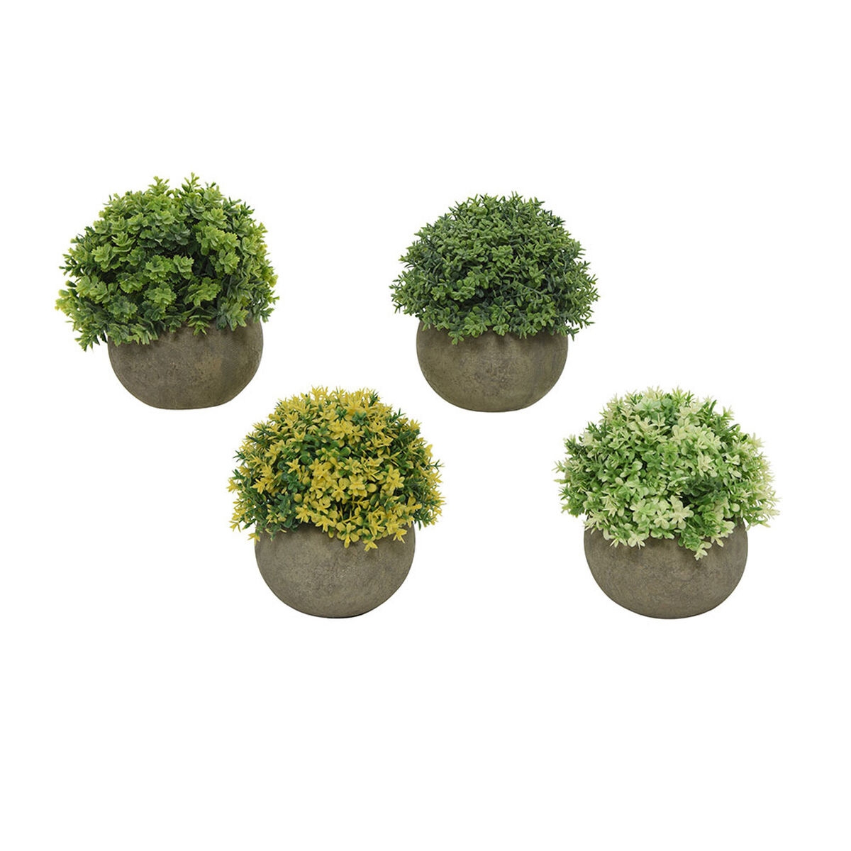 Planta Decorativa Everlands ø 12 Cm Maceta Plástico