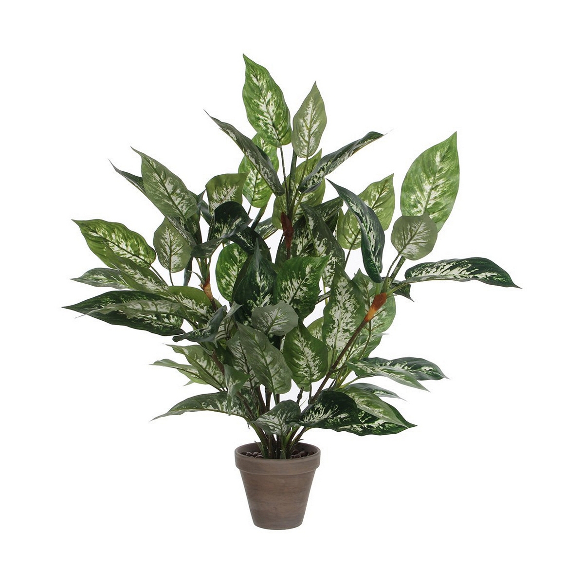 Planta Decorativa Mica Decorations Dieffenbachia Dieffenbachia Verde Pvc (15,7 X 70 Cm)