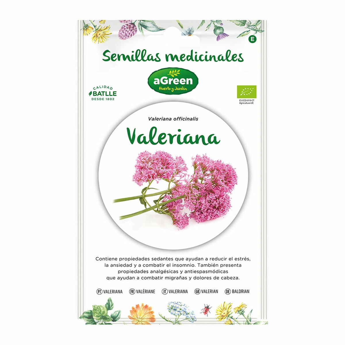 Semillas Agreen Eco 857014Bolsh Valeriana